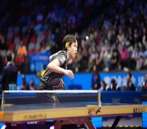 樊振东战胜王楚钦,晋级决赛