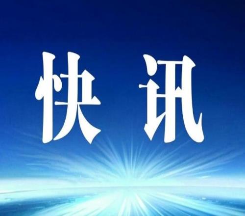 巩立姣关联公司已注册姓名商标