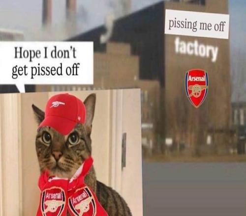 阿森纳球迷在Reddit守了3年，，，，等来的却是"建设账号"