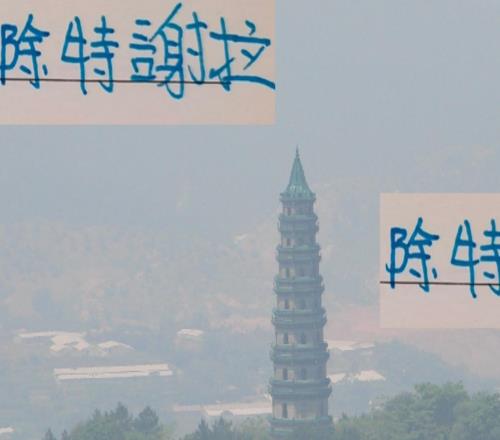 除特謝拉外！申花這些年外援續(xù)約第二年都出現斷崖狀態(tài)下滑