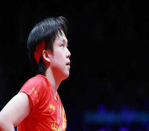 王楚钦、孙颖莎即将复出！