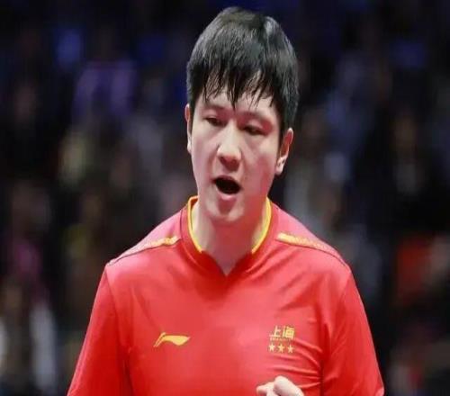 樊振东卫冕全运会金牌后,回头一看