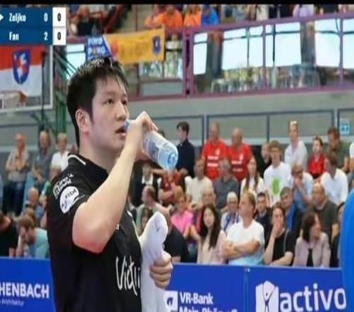 恭喜樊振東，拿下德甲首勝！近距離看到小胖的一舉一動，票價物超所值！