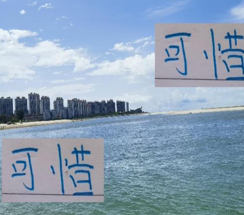 可惜!海港红申花蓝明年没有办法一年四次见面了