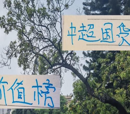 中超國貨最新價值榜申花球員蔣圣龍最貴海港的萊昂納多最值錢