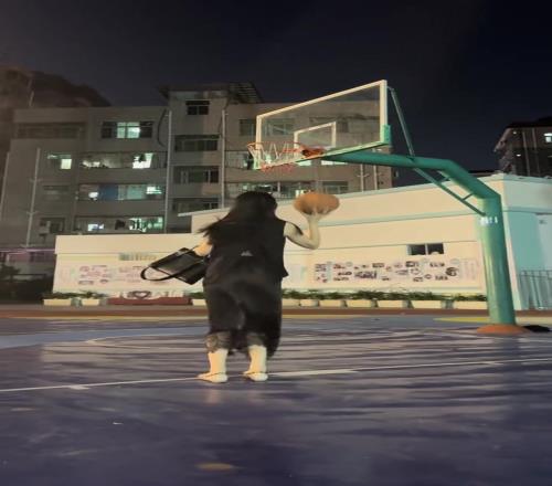 对于平底鞋黑长裙又会打篮球的女孩子，真的毫无抵抗力