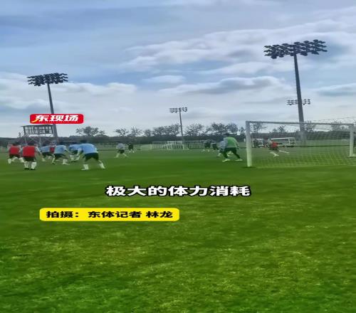 申花伤病潮来袭，路易斯、吴曦缺阵关键战，小将刘诚宇爆发成亮点