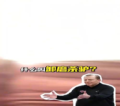 段冉：尼克斯解雇锡伯杜就是卸磨杀驴，他把尼克斯带到不属于他们的高度