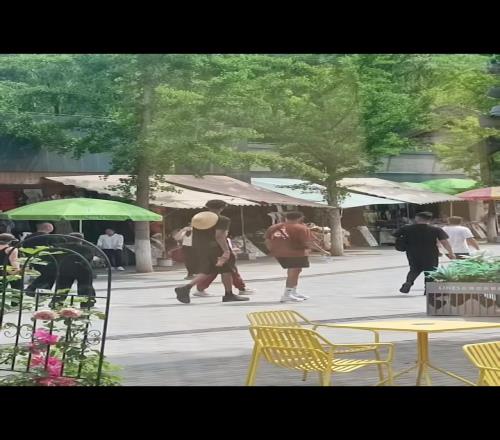 文班亚马中国行今天下午将现场观看女排北京站法国vs比利时！