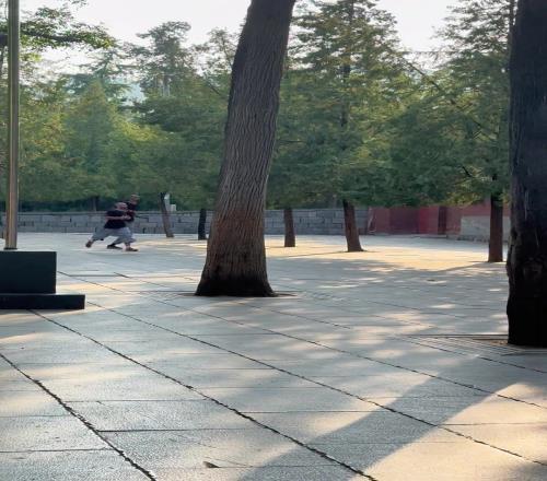 岁月静好！文班俨然已经融入少林寺
