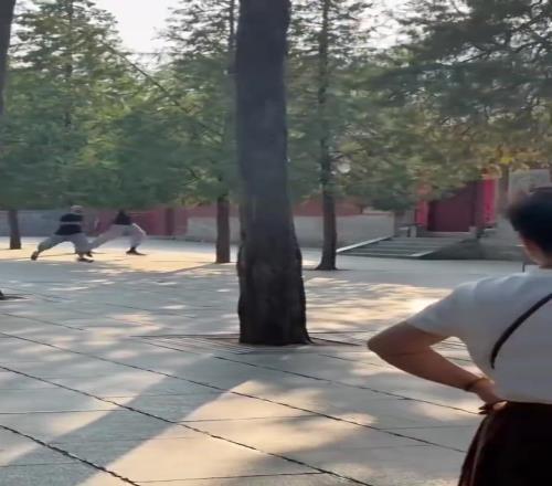 修行第五天了！文班这“第一高僧”跑起来，一步顶别人两步吧