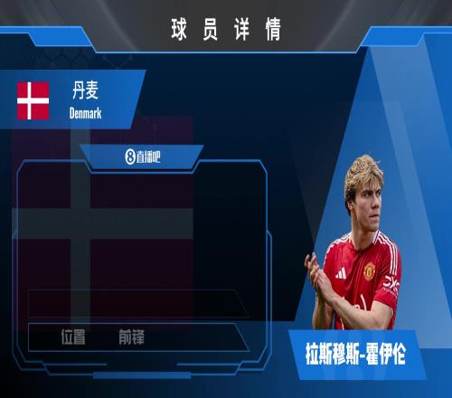 霍伊伦球员集锦：丹麦前锋球场上的拼命三郎