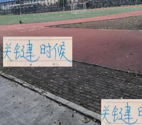关键时候！申花真不会一场比赛受伤一个甚至到报销吧！