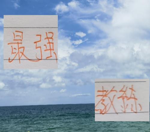 中超最强救火教练！河南葡萄牙洋帅先后拿下申花成都北京国安