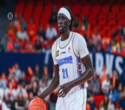 老帅真幸福！裁掉强援，签回网红，组豪华阵容，CBA要大结局了