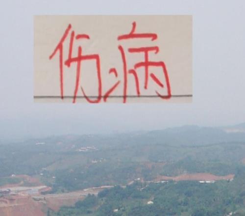 都有因伤不如意球星海港有球王申花有2024本土标王