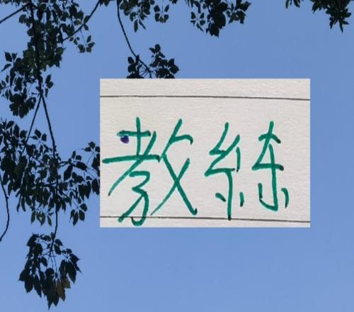 中超教练就差北京国安跟成都蓉城没有官宣