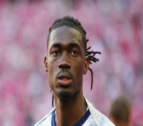 英媒：热刺再添新伤员，比苏马代表马里出战时再遭重伤