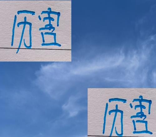 中超第一个赛季还是申花前任马莱莱比现任米内罗更加厉害！