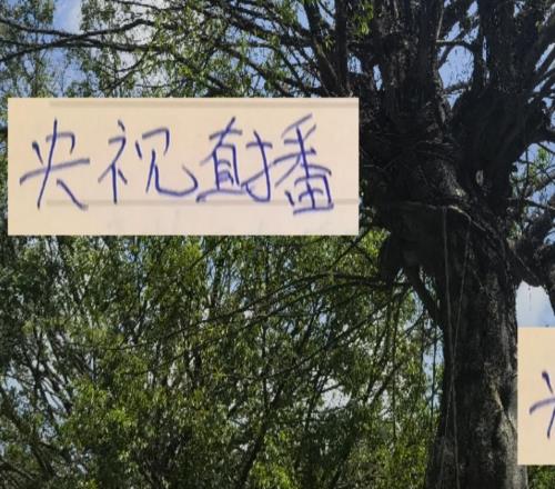 中超第25轮申花跟海港焦点大战央视都会直播球迷放心吧