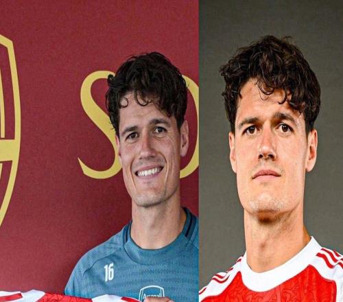 底牌是真多！梅里诺受伤不必忧愁，阿森纳还有31岁“老蜂王”保稳