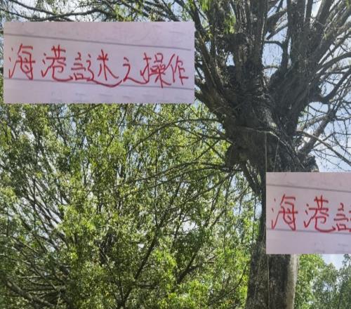 海港在亚冠谜之操作3比0落后还舍不得换下主力