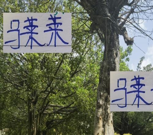 马莱莱离开申花还是球队最佳射手中超最猛大佬还是法比奥