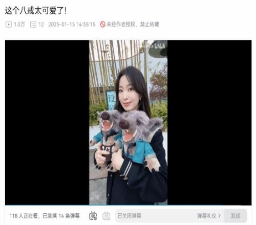 新华社美女记者分享《黑神话》八戒公仔：太可爱了