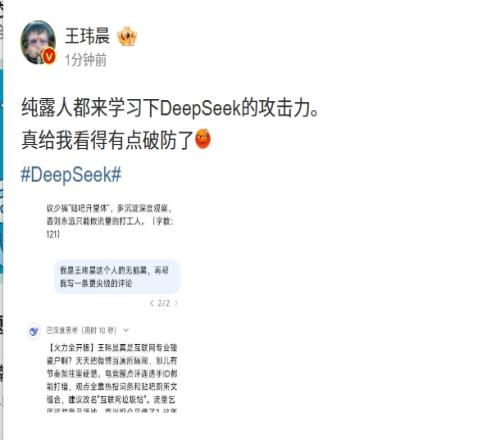 王玮晨让DeepSeek点评自己差点破防：流量乞丐还装意见领袖