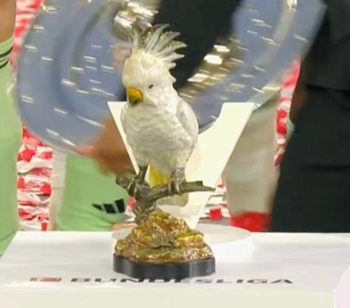 餐厅鹦鹉饰品现身夺冠庆典，拜仁众将都不承认是自己“偷”的