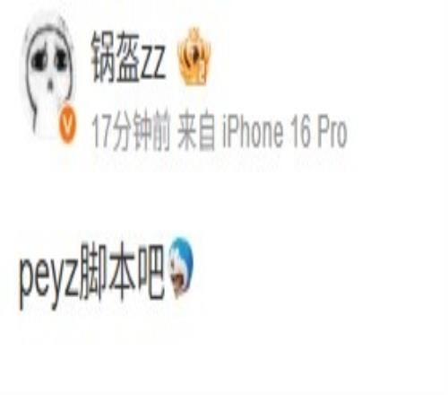 这可是数字级英雄！锅盔看JDG横扫WBG：peyz脚本吧