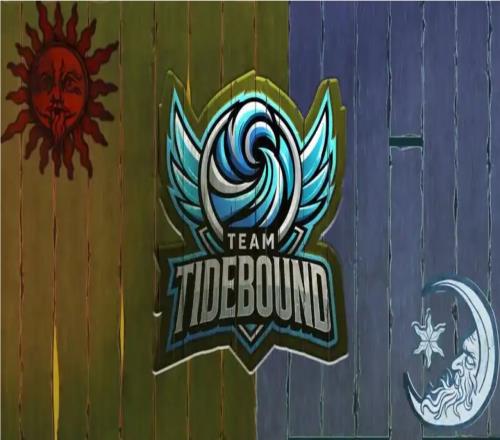 全力备战TI吧！TBD后续无缘梦幻联赛+电竞世界杯仅剩TI一项大赛可打