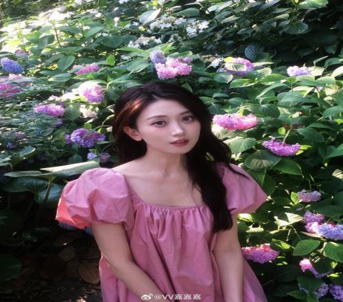 无畏契约美女主持V嘉晒照：拍了拍夏天，最浪漫的花海