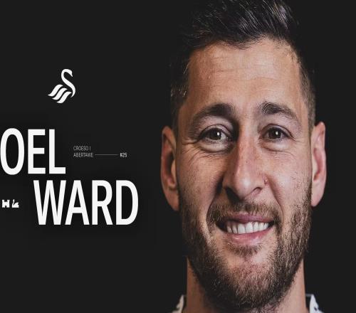 官方：36岁水晶宫传奇沃德自由身加盟英冠斯旺西