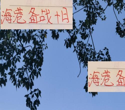 海港终于在亚冠结束了对日连败！接下来就是10月联赛了