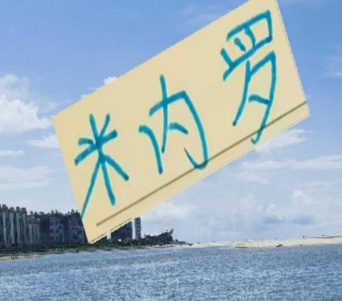 米内罗当年J联赛都踢不明白在申花大修前也能进球如麻