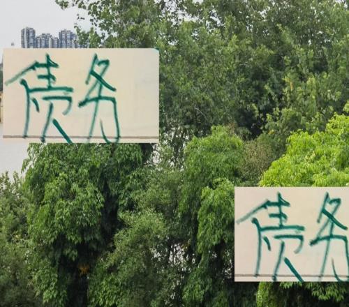 意外！北京国安夺冠后并没好消息！债务清零名单又没他们