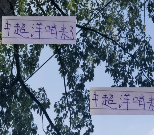 周末两场天王山比赛成都VS海港山东VS北京国安洋哨执法稳了！