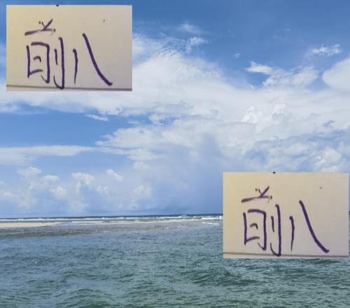 中超前8教练就差北京国安+小绿没定可惜海港穆帅没拿最佳教练