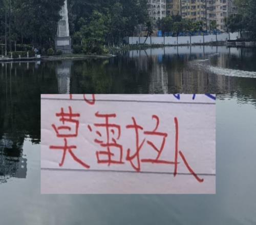 申花海港北京国安都在莫雷拉人进货！