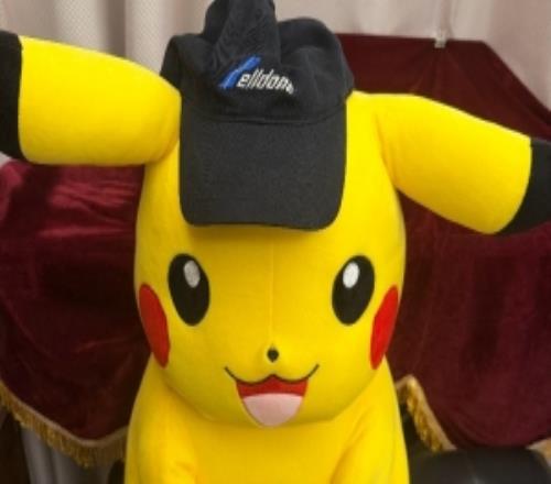 Rookie分享皮卡丘玩偶：大头