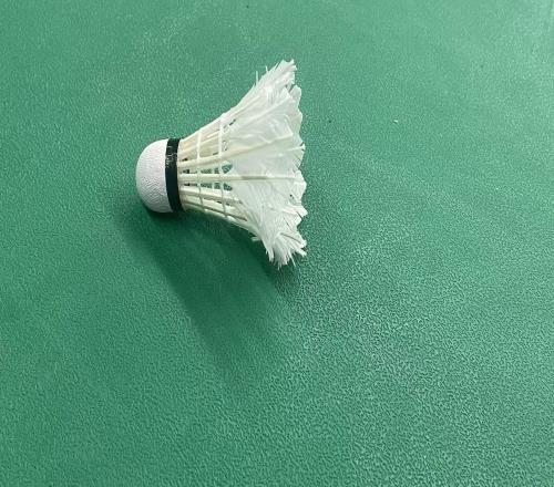 【深度】羽毛球的钱，为什么这么难赚
