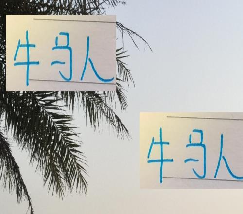 都是牛马人！申花明年要想夺冠最重要还是外援出勤率而不是效率