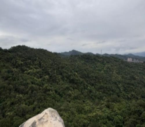 Shad0wo分享生活照：团建爬山日，依旧是体力最差的