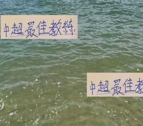 谁才是中超最佳教练！冠军来说话今年我还是看好海港穆帅