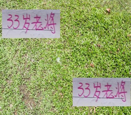 中超前4进球最多33岁以上老将！海港是边后卫北京国安是中场