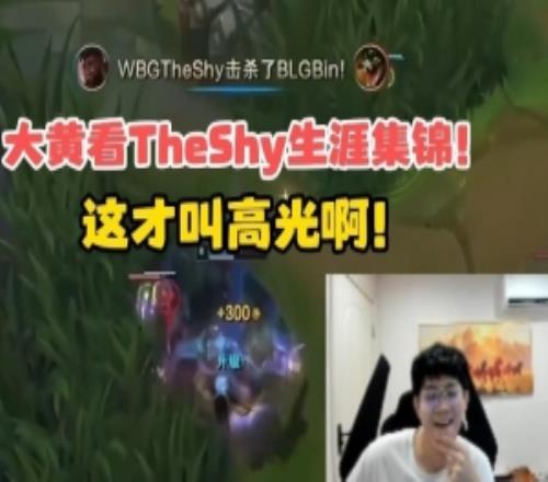 享受！wayward看TheShy生涯集锦：奎桑提单杀妖姬在我心目中Top1