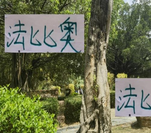 从单轮最佳中超金靴足协杯帽子戏法感觉法比奥年度MVP有戏