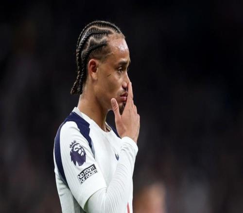 德甲出场又一“水货”热刺高价引援再陷泥潭