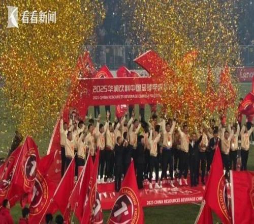 辽宁铁人勇夺中甲冠军成功冲超